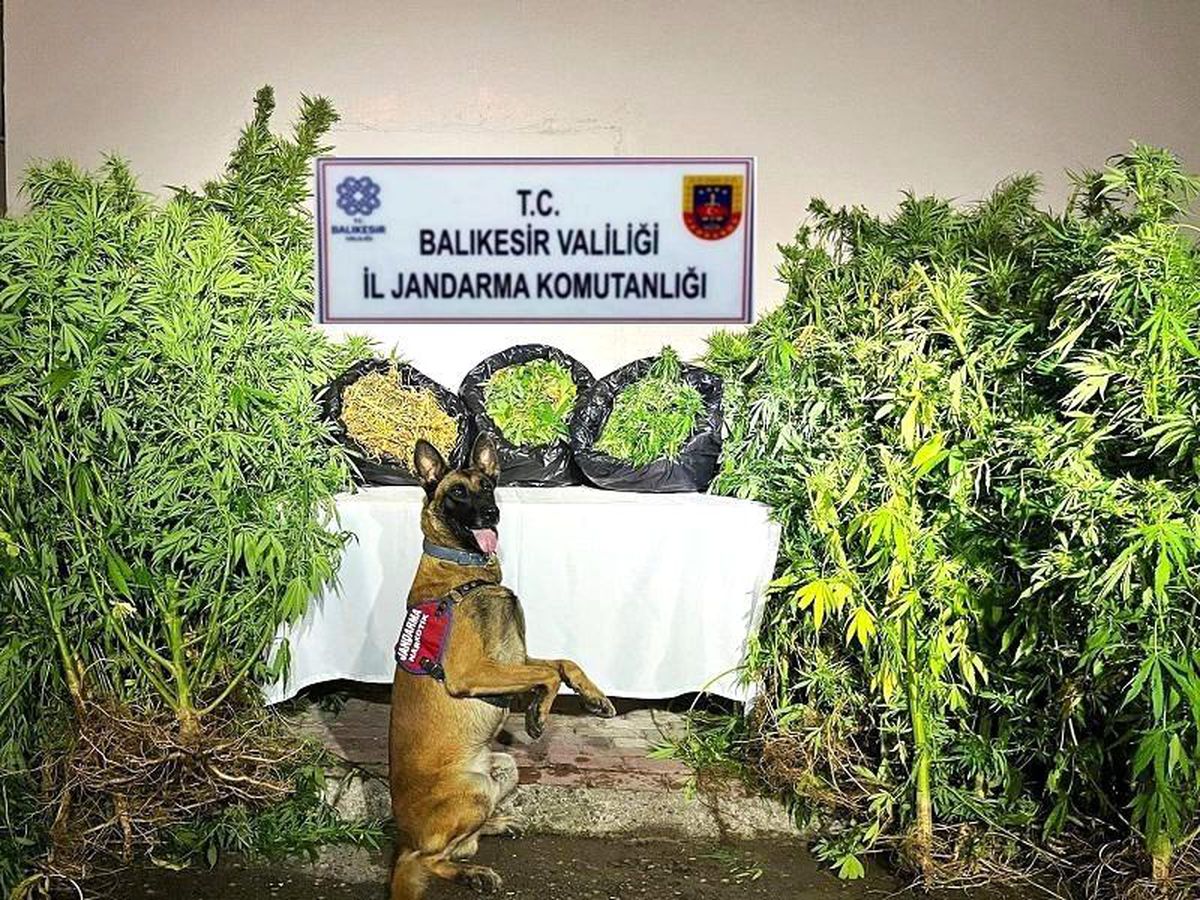 Balıkesir'de Kaçakçılık ve Organize Suç Operasyonu: 36 Gözaltı, 9 Tutuklama