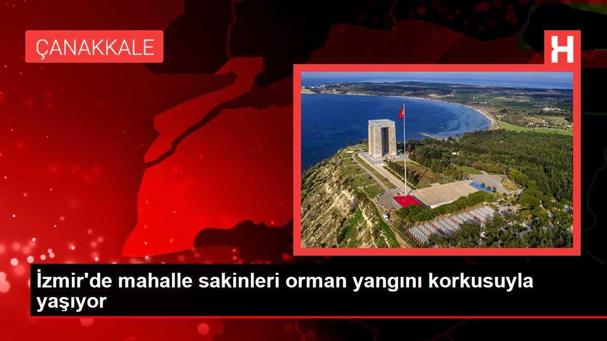 İzmir'de mahalle sakinleri orman yangını korkusuyla yaşıyor