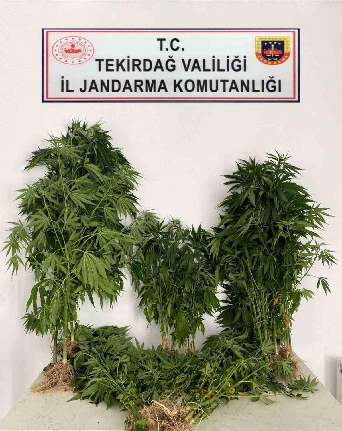 Tekirdağ'da Uyuşturucu, Ruhsatsız Tabanca ve Kaçak İçki Ele Geçirildi
