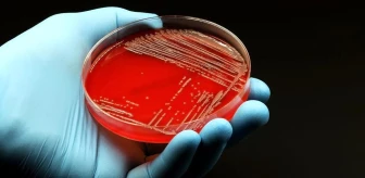 Antibiyotikler bağırsaktaki faydalı bakterileri yok ediyor mu?