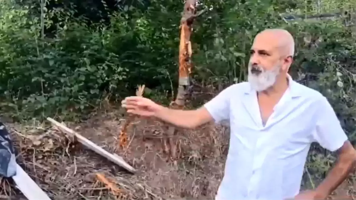 Artvin'de mahsur kalan boz ayı kurtarıldı
