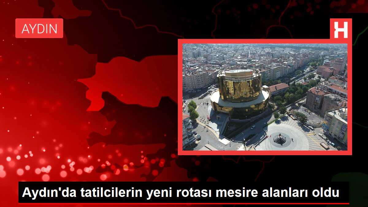 Aydın'da tatilcilerin yeni rotası mesire alanları oldu