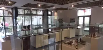 Mersin'de Deniz Canlıları Müzesi Açılıyor