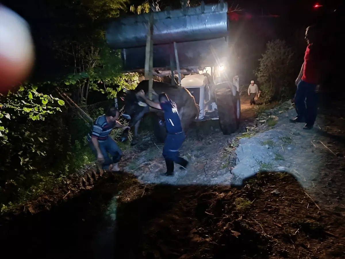 Çorum'da Köprüden Düşen İnek İtfaiye Tarafından Kurtarıldı