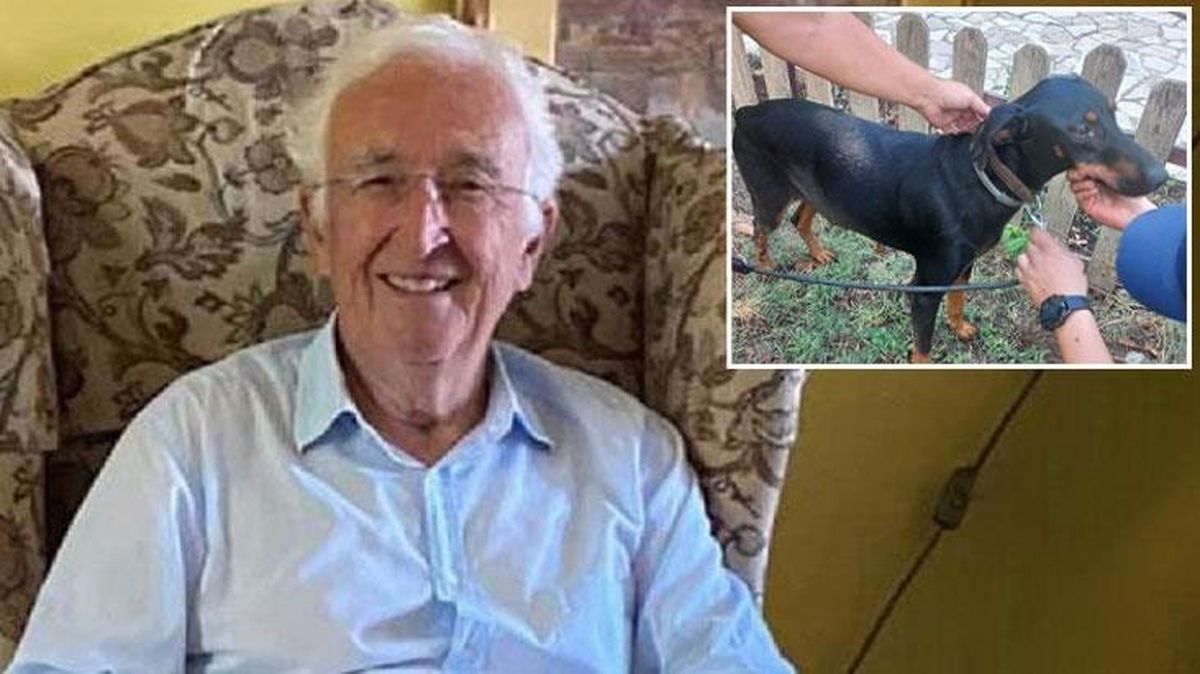 Esrarengiz bir şekilde ortadan kaybolan ekonomist Korhan Berzeg'in köpeği 'Tina', aile dostunun evinin yakınında bulundu