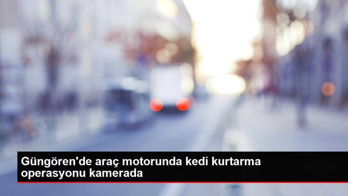 Güngören'de araç motorunda kedi kurtarma operasyonu kamerada