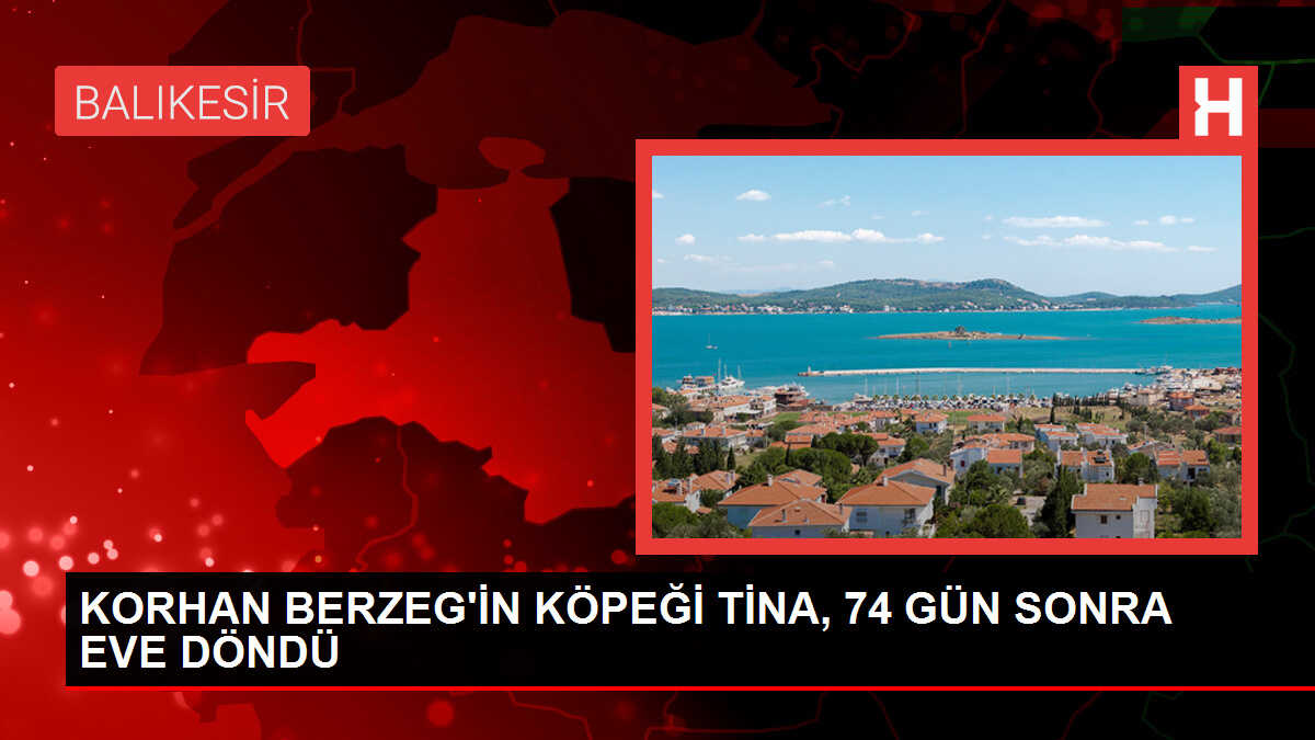 Kaybolan yaşlı adamın köpeği evine döndü