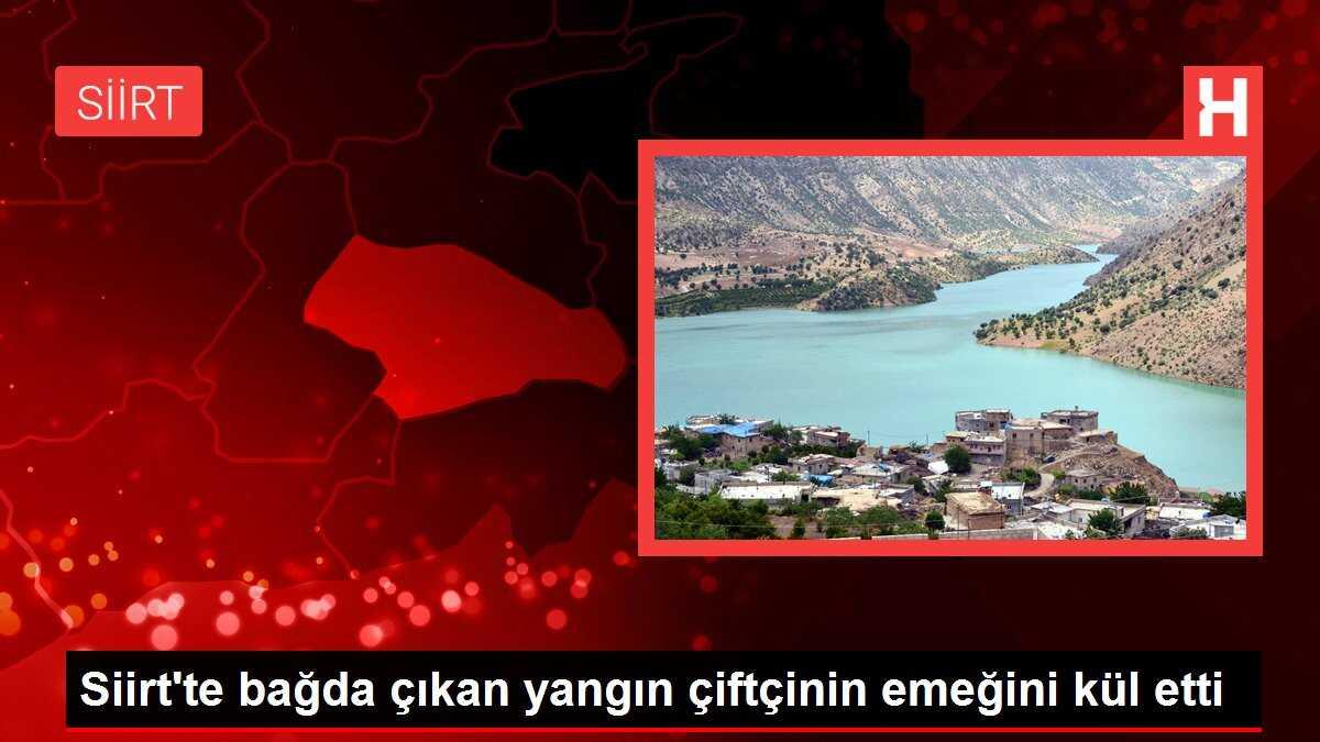 Siirt'te bağda çıkan yangın çiftçinin emeğini kül etti