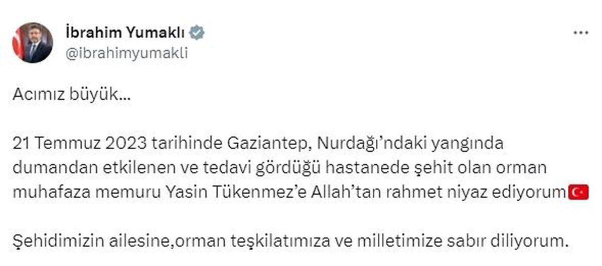 Yangına müdahale ederken dumandan etkilenen orman memuru hayatına kaybetti