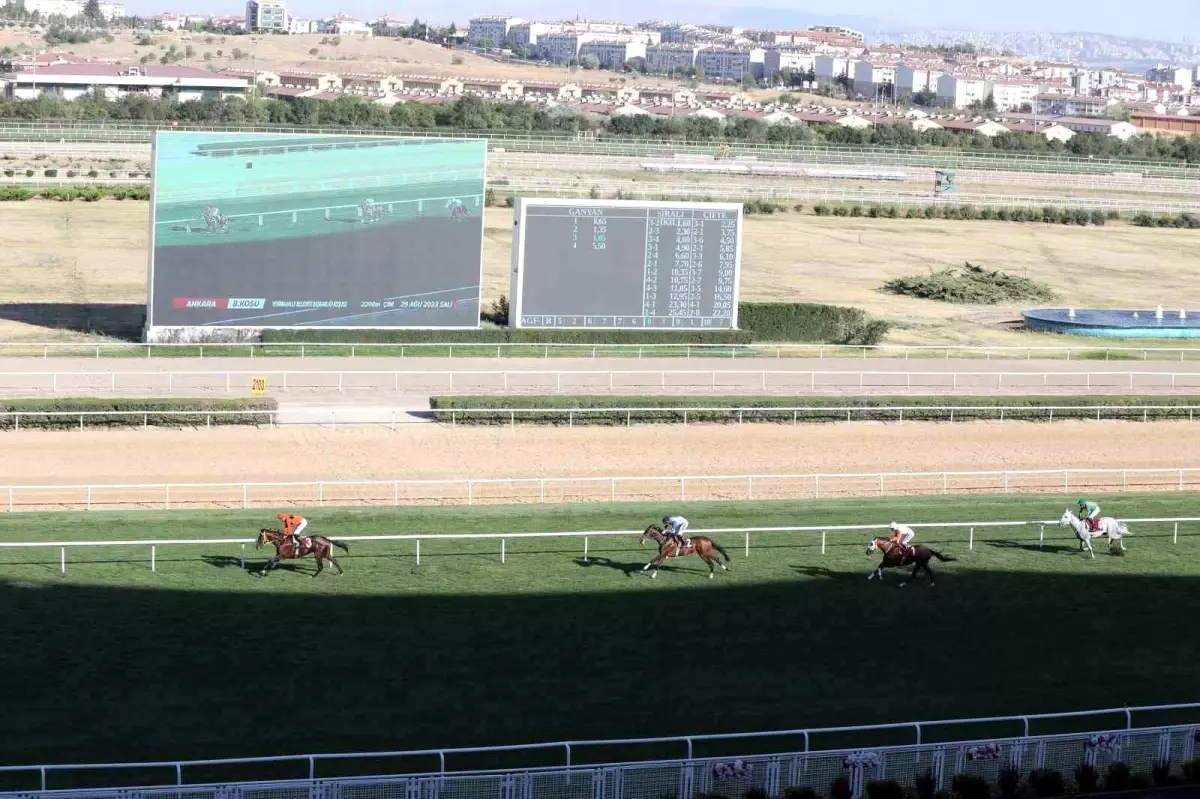 Yenimahalle Belediye Başkanlığı Koşusunu Taylolo Kazandı