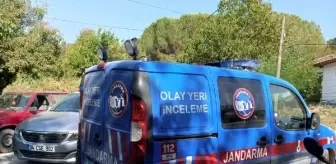 TİNA'NIN TASMASI KONTROL EDİLİYOR