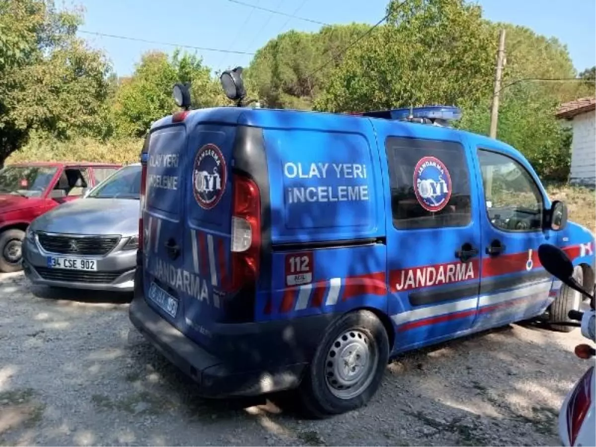 TİNA'NIN TASMASI KONTROL EDİLİYOR