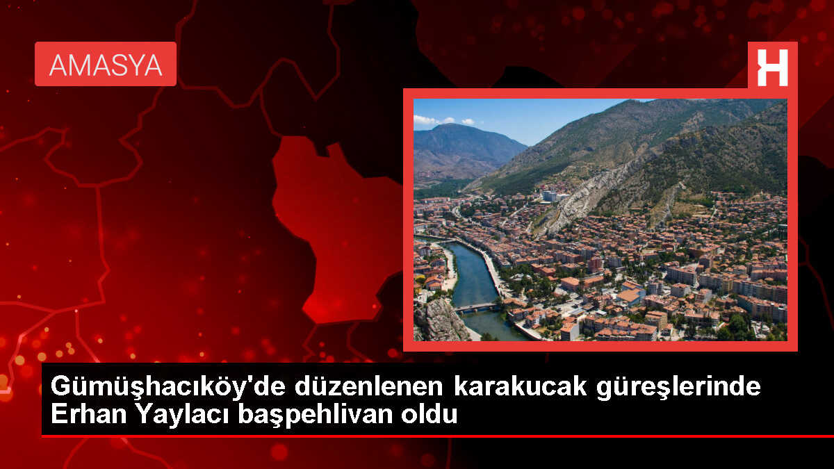Amasya'da düzenlenen Karakucak Güreşleri'nde başpehlivanlık Erhan Yaylacı'nın