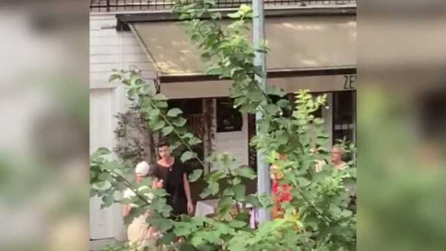 İstanbul'da 'zeytin ağacı' tartışması! 'Kaldırımda yürüyemiyorum' deyip şikayet etti, işletme sahibi ise kendini ağaca zincirledi
