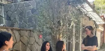 Sarıyer'de zeytin ağacı tartışması: Kendini ağaca zincirledi