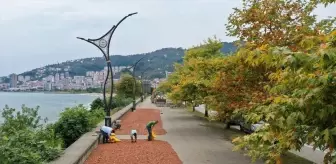 Giresun'da Fındık Üreticileri Sahil Kenarında Kurutma Yapıyor