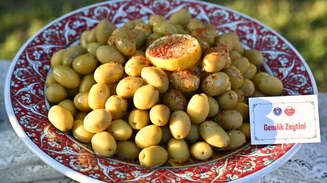 Bursa'nın Tescilli Lezzetleri 'Yeşil Gastronomi' Festivali ile Dünyaya Tanıtılacak