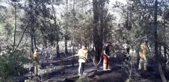 Orhaneli'de Orman Yangını Söndürüldü