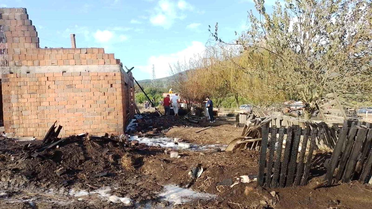 Yalova'da Ahır Yangınında 6 Küçükbaş Hayvan Telef Oldu