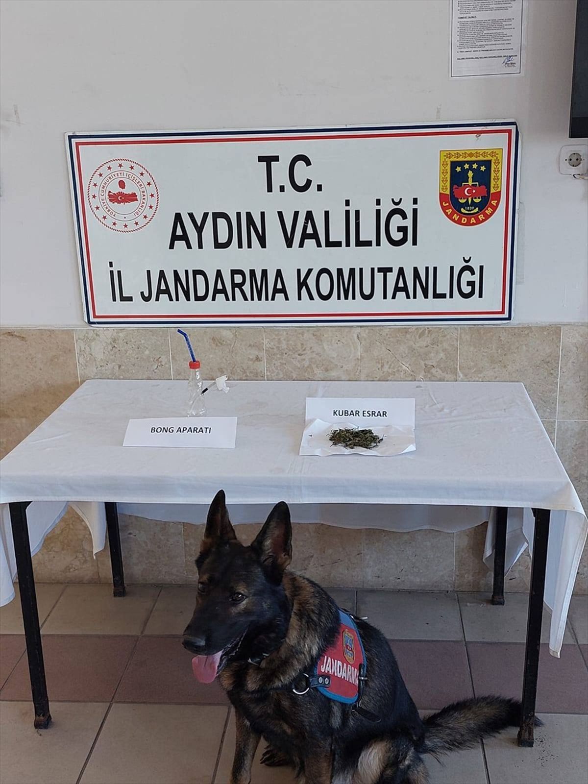 Aydın'ın Nazilli ilçesinde uyuşturucu operasyonu: 1 zanlı gözaltına alındı