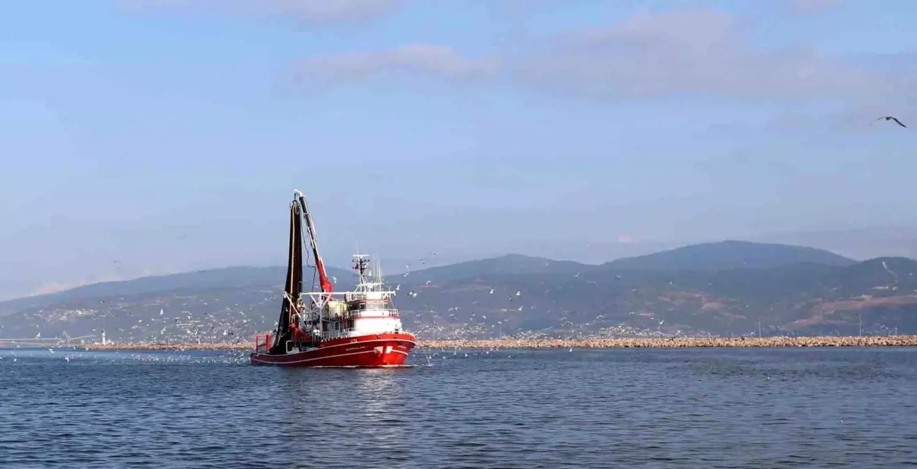 Balıkçılar Yeni Av Sezonuna Hamsi ile Başladı