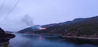 Çorum'un Laçin ilçesinde çıkan orman yangını kontrol altına alındı