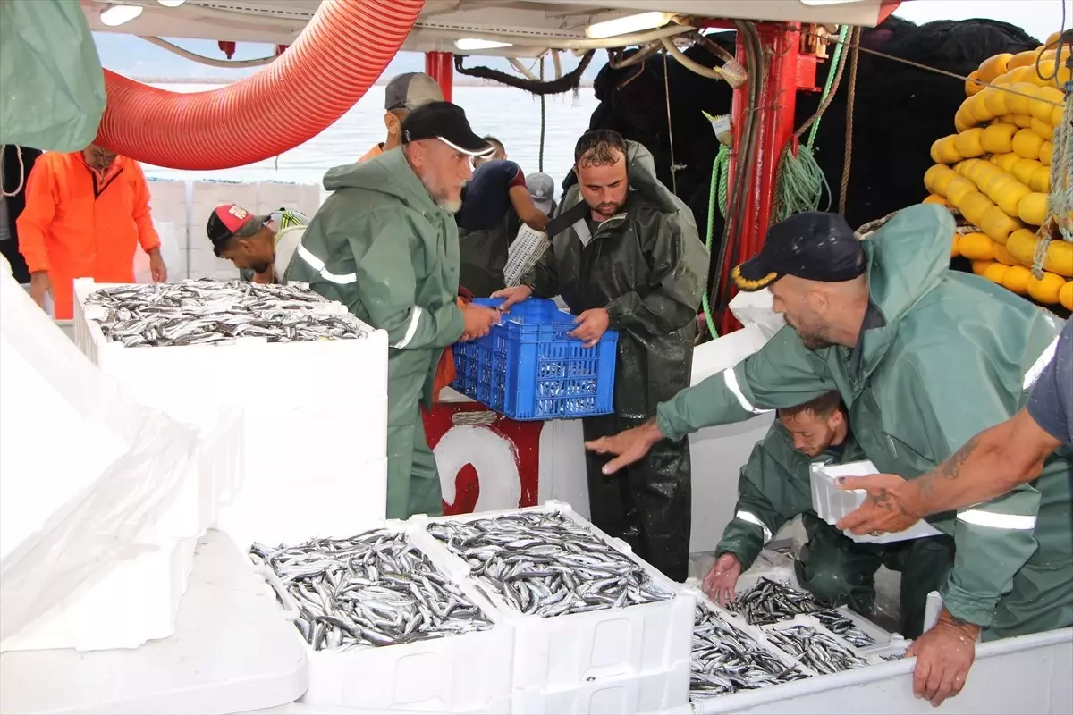 Balıkesir Bandırma'da Balıkçılar İlk Av Gününde Bol Miktarda Balık Yakaladı