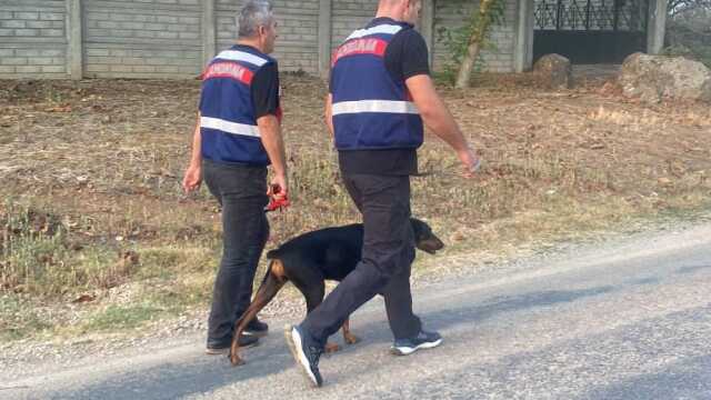 Kaybolduktan 74 gün sonra geri dönen Tina, ekonomist Korhan Berzeg'in arama çalışmalarına öncülük ediyor Kaybolduktan 74 gün sonra geri dönen Tina, ekonomist Korhan Berzeg'in arama çalışmalarına öncülük ediyor