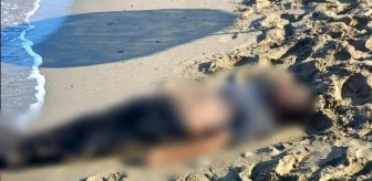 Kuşadası'nda kıyıya vurmuş erkek cesedi bulundu