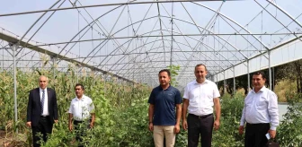 Erzurum Oltu'da Devlet Destekli Seracılık Projesi Ürün Almaya Başlandı