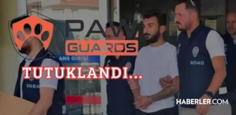 Paw Guards başkanı Erkin Erdoğdu kimdir, neden tutuklandı? Paw Guards nedir, haberleri ve dolandırıcılığı ne demek?