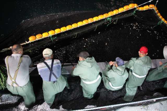 Yeni sezonun ilk balıkları avlandı