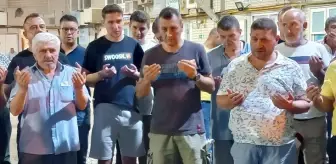 Av yasağının bitmesiyle balıkçılar ağ attı! Hamsinin kasası 2.250 TL'den satıldı