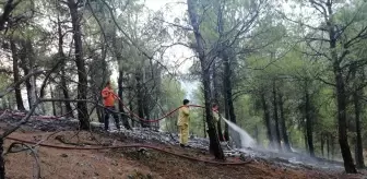 Çorum Kargı'da Ormanlık Alanda Yangın