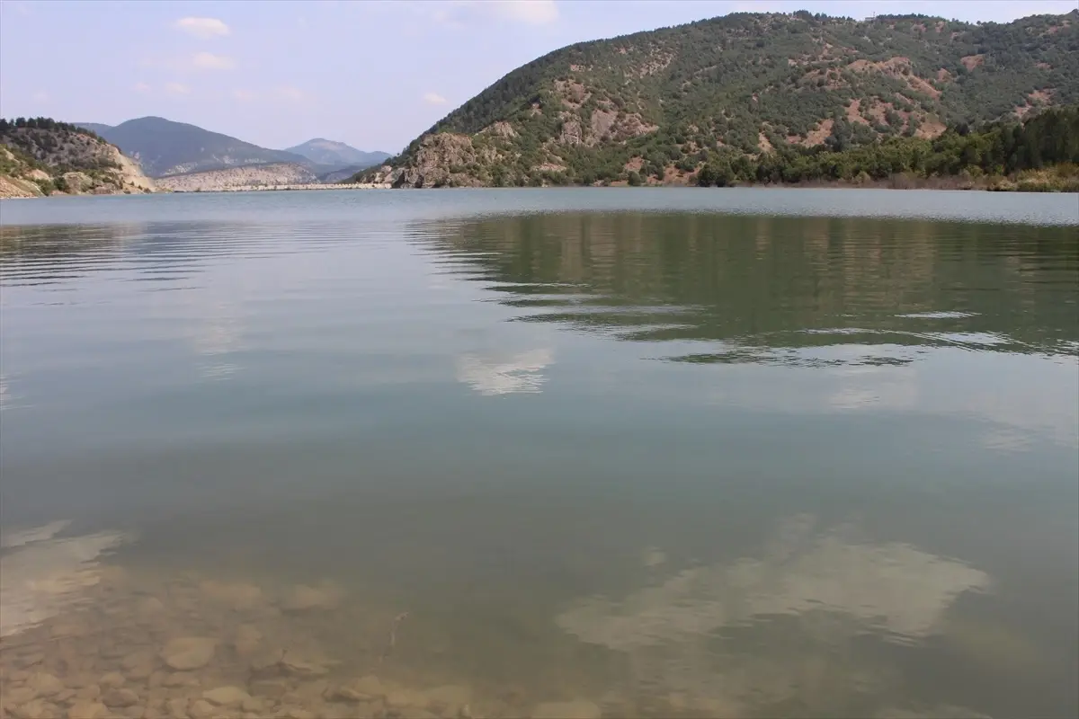 Karabük'te 30 Bin Sazan Yavrusu Göl ve Göletlere Salındı