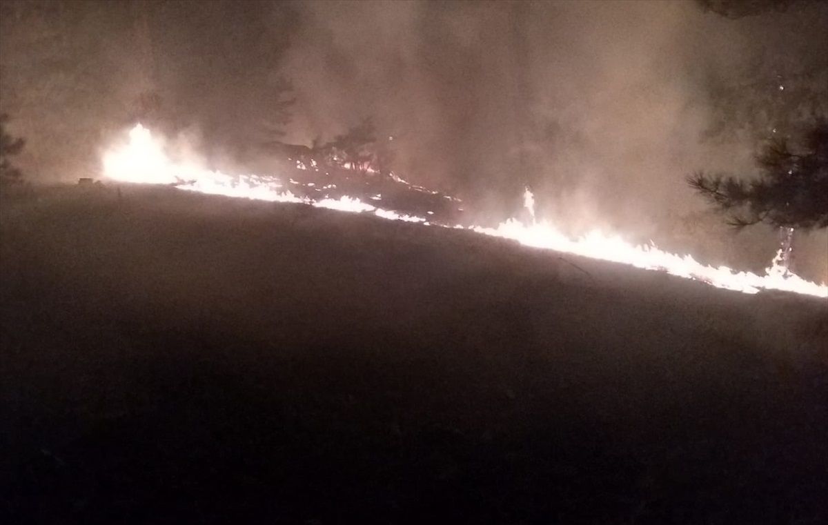 Muğla'da Orman Yangınına Müdahale Ediliyor