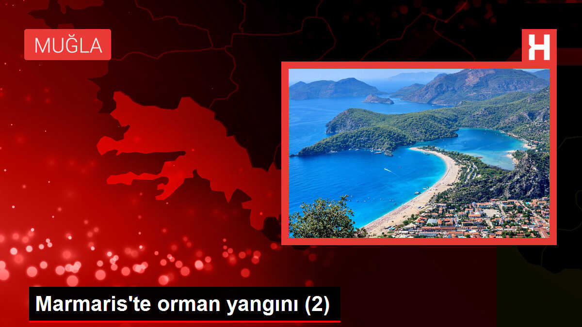 Marmaris'te orman yangını (2)