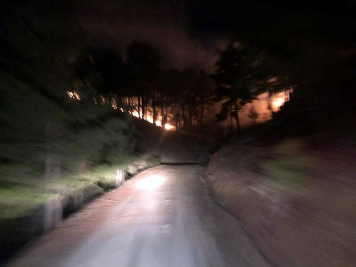 Muğla'da Orman Yangını: 3 Hektar Alan Zarar Gördü