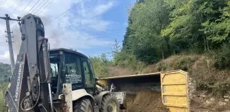 Sakarya'da freni boşalan kamyon devrildi, 1 kişi yaralandı