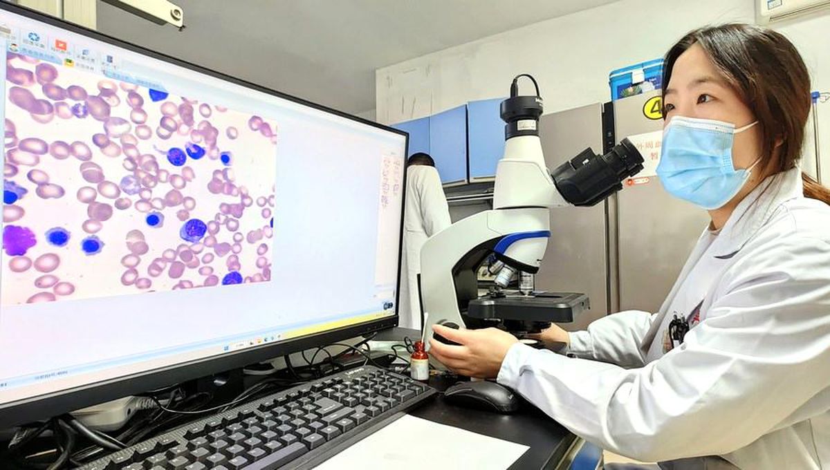 2023 Çin Ulusal Bilgisayar Kongresi Shenyang'da düzenlenecek