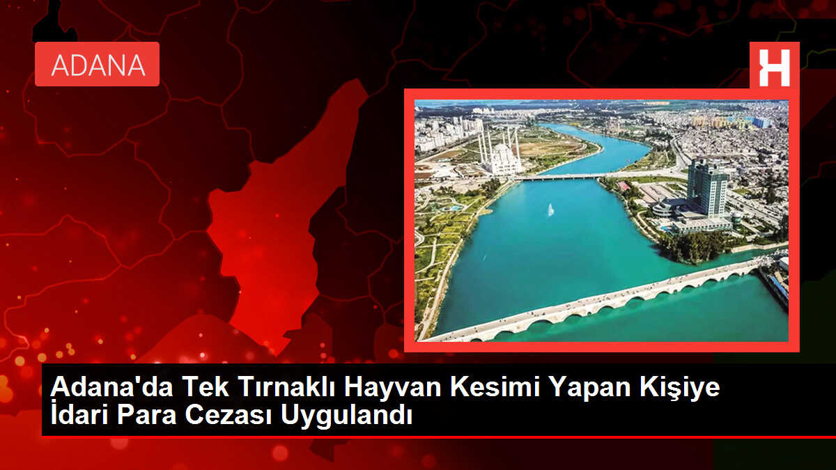 Adana'da tek tırnaklı hayvan kesimi yapılan adrese baskın düzenlendi