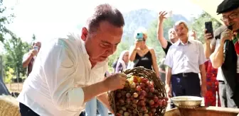 Uluslararası Food Fest Antalya Gastronomi Festivali'nde Mor Üzüm Hasadı Yapıldı