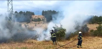Kastamonu'da Boş Arazi Yangını İtfaiye Tarafından Söndürüldü
