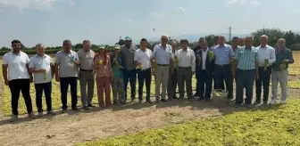 Bayraktar: Türkiye, dünyada kuru üzüm üretiminde 1'inci sırada