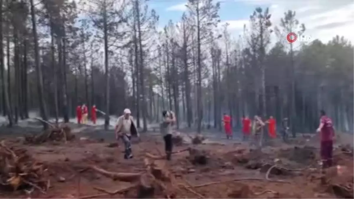 Kütahya'da Domaniç ilçesinde çıkan orman yangını kontrol altına alındı