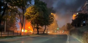 Mudanya'da AVM Yakınındaki Zeytinlikte Yangın