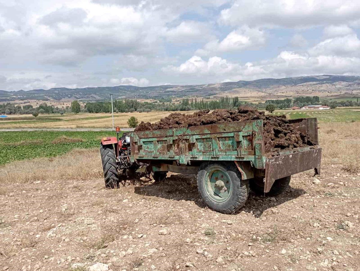 Tokat'ta traktör kazası: Vatandaş yaralandı