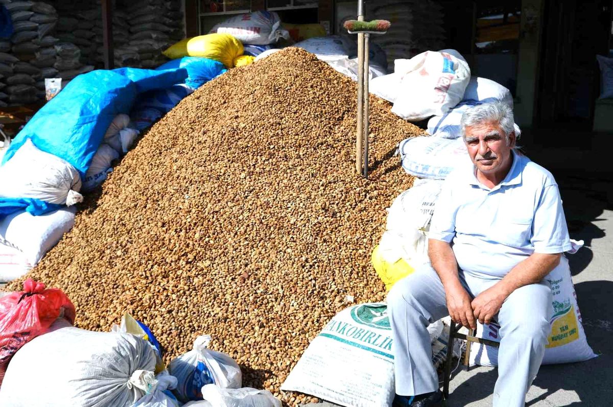 Erzincan'da yetiştirilen acı kayısı çekirdekleri Malatya'ya gönderiliyor