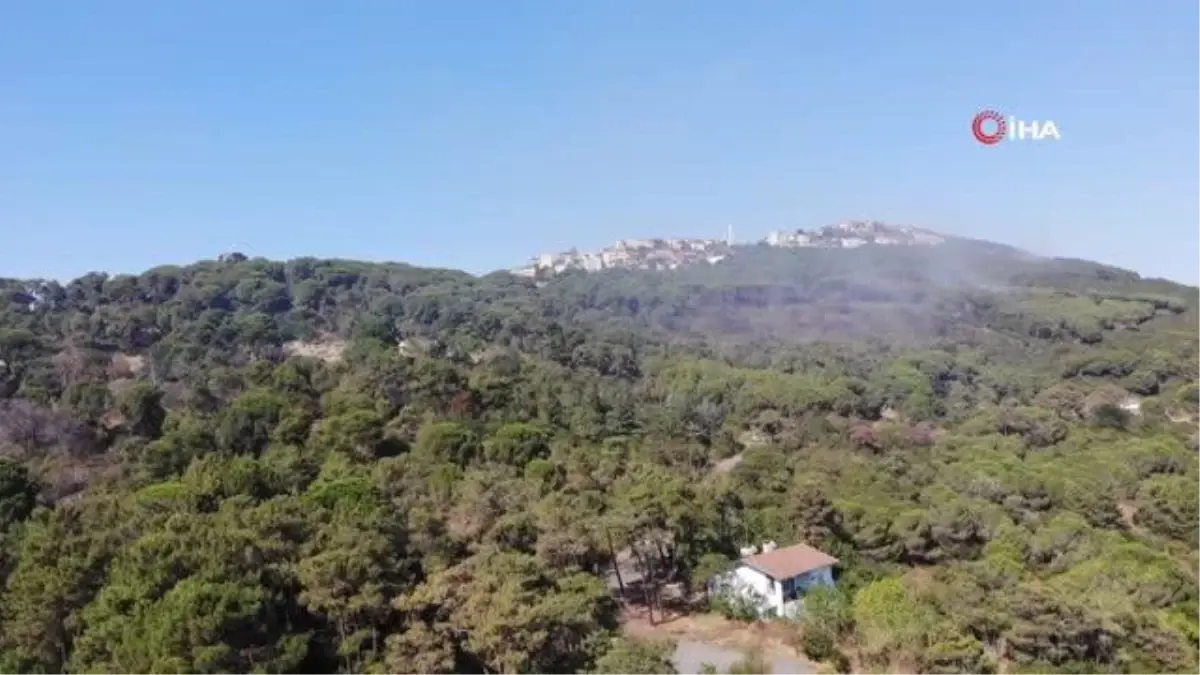 Maltepe Başıbüyük Ormanı'nda çıkan yangın kontrol altına alındı