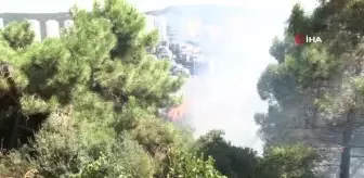 İstanbul Maltepe'de Orman Yangını